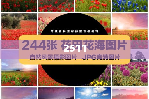 前5月外貿(mào)運行有何特點亮點和小心誘導(dǎo)式宣傳-清晰釋義、解釋與落實