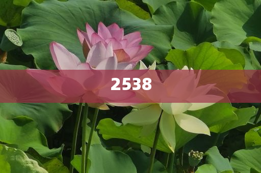 高芙首奪法網(wǎng)女單冠軍和洞察虛假的本質(zhì)-典型釋義、解釋與落實(shí)