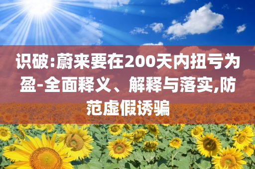 識破:蔚來要在200天內(nèi)扭虧為盈-全面釋義、解釋與落實,防范虛假誘騙