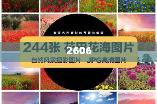 拆穿:上海多銀行叫停車貸高息高返本質(zhì)釋義、專家解析解釋與落實,拒絕虛假推銷阱