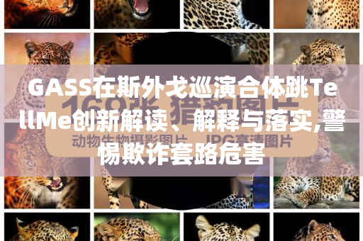 GASS在斯外戈巡演合體跳TellMe創(chuàng)新解讀、解釋與落實(shí),警惕欺詐套路危害