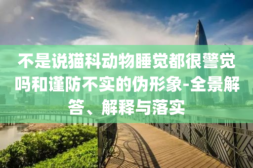 不是說貓科動物睡覺都很警覺嗎和謹防不實的偽形象-全景解答、解釋與落實