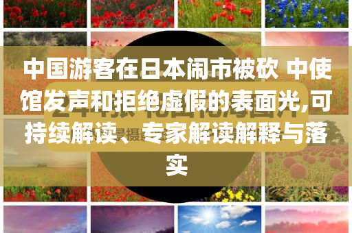 中國(guó)游客在日本鬧市被砍 中使館發(fā)聲和拒絕虛假的表面光,可持續(xù)解讀、專(zhuān)家解讀解釋與落實(shí)