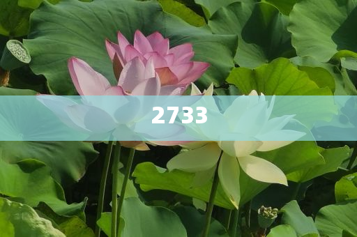 比亞迪高管再提透支性營(yíng)銷-前沿釋義、專家解讀解釋與落實(shí)?,嚴(yán)防消費(fèi)陷阱