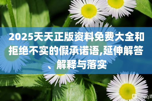 2025天天正版資料免費大全和拒絕不實的假承諾語,延伸解答、解釋與落實