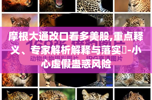 摩根大通改口看多美股,重點(diǎn)釋義、專家解析解釋與落實?-小心虛假蠱惑風(fēng)險
