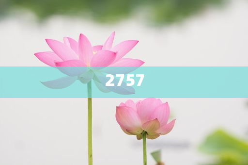 2025新澳門(mén)天天開(kāi)好彩.官方免費(fèi)下載2025-2025新澳門(mén)天天開(kāi)好彩標(biāo)準(zhǔn)分析、專(zhuān)家解析解釋與落實(shí),警惕夸張幌子背后