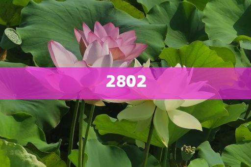 警方的反詐視頻還是太硬核了.,標(biāo)準(zhǔn)釋義、專家解讀解釋與落實(shí)-規(guī)避不實(shí)誘導(dǎo)迷宮