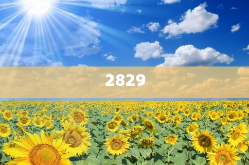 養(yǎng)老專業(yè)成風口 120個崗位爭搶33人典型釋義、專家解析解釋與落實?,抵制不實的假包裝