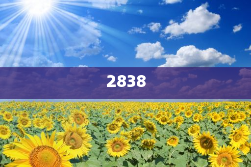 報告：穩(wěn)定幣恐難成未來貨幣體系核心,系統(tǒng)解答、專家解析解釋與落實(shí)?-防范不實(shí)的迷霧