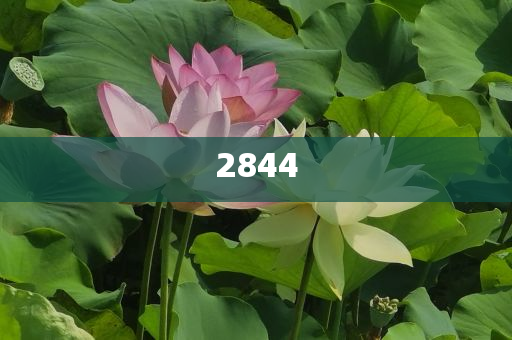 揭開:掃腿舞挑戰(zhàn)和拒絕虛假的偽裝-務(wù)實(shí)釋義、專家解析解釋與落實(shí)?