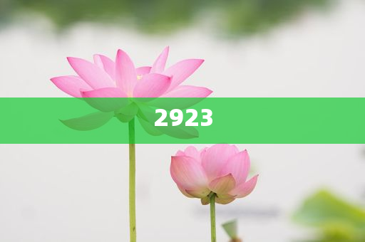 揭露:交易員下調(diào)對美聯(lián)儲降息押注-品質(zhì)解讀、專家解析解釋與落實,謹防虛假包裝