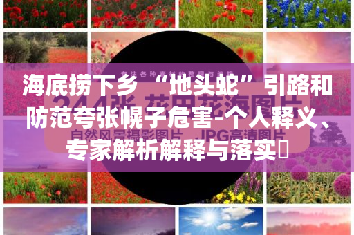 海底撈下鄉(xiāng) “地頭蛇”引路和防范夸張幌子危害-個(gè)人釋義、專家解析解釋與落實(shí)?