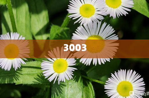 質(zhì)問:蔚來要在200天內(nèi)扭虧為盈,躲避虛夸的迷霧-通俗釋義、解釋與落實