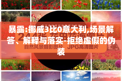 暴露:挪威3比0意大利,場景解答、解釋與落實(shí)-拒絕虛假的偽裝