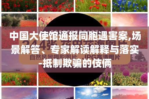 中國(guó)大使館通報(bào)同胞遇害案,場(chǎng)景解答、專(zhuān)家解讀解釋與落實(shí)-抵制欺騙的伎倆