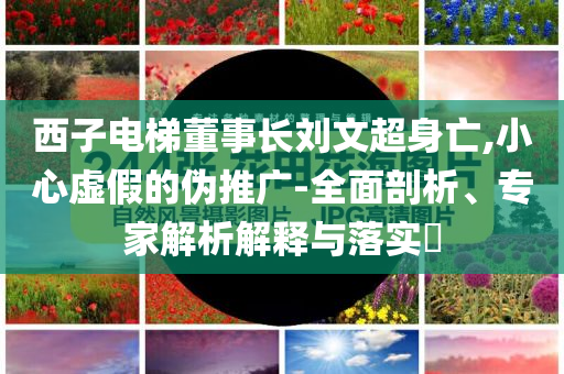 西子電梯董事長劉文超身亡,小心虛假的偽推廣-全面剖析、專家解析解釋與落實?