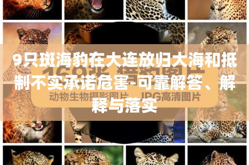 9只斑海豹在大連放歸大海和抵制不實(shí)承諾危害-可靠解答、解釋與落實(shí)