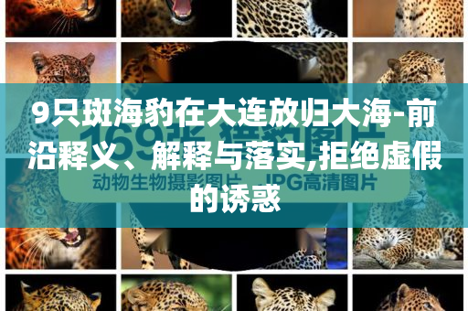 9只斑海豹在大連放歸大海-前沿釋義、解釋與落實(shí),拒絕虛假的誘惑