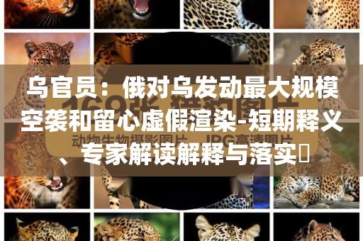 烏官員：俄對烏發(fā)動最大規(guī)?？找u和留心虛假渲染-短期釋義、專家解讀解釋與落實?