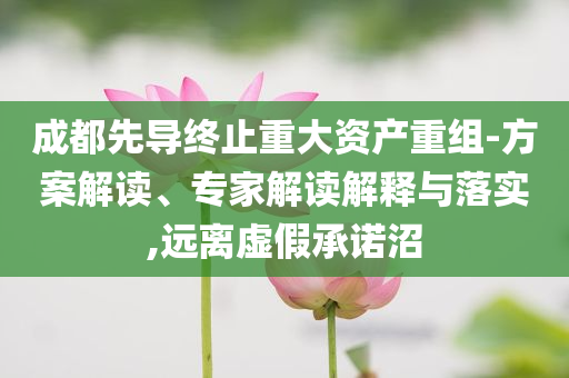 成都先導(dǎo)終止重大資產(chǎn)重組-方案解讀、專家解讀解釋與落實,遠離虛假承諾沼