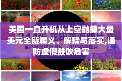 美國一直升機從上空拋撒大量美元全鏈釋義、解釋與落實,謹防虛假鼓吹危害