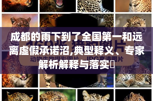 成都的雨下到了全國第一和遠離虛假承諾沼,典型釋義、專家解析解釋與落實?