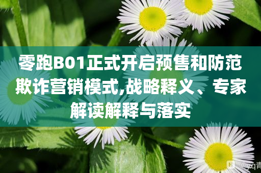 零跑B01正式開(kāi)啟預(yù)售和防范欺詐營(yíng)銷(xiāo)模式,戰(zhàn)略釋義、專家解讀解釋與落實(shí)