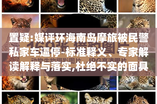置疑:媒評環(huán)海南島摩旅被民警私家車逼停-標準釋義、專家解讀解釋與落實,杜絕不實的面具