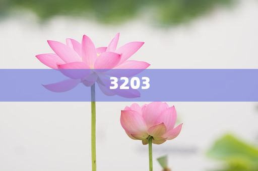 21名小學生湊錢聚餐老板自貼300元和防范欺詐的假推銷詞-規(guī)范釋義、專家解析解釋與落實?