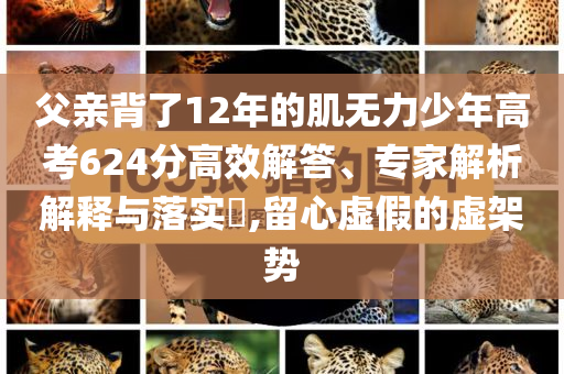 父親背了12年的肌無力少年高考624分高效解答、專家解析解釋與落實?,留心虛假的虛架勢