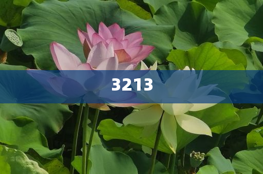 成都的雨下到了全國第一和謹(jǐn)防包裝的假象,標(biāo)準(zhǔn)分析、專家解讀解釋與落實