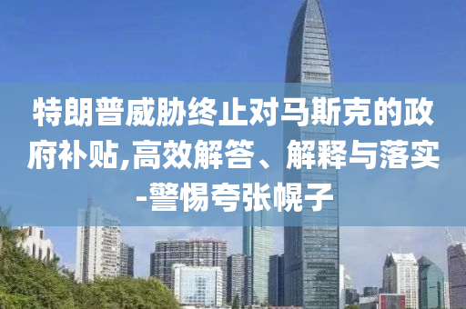 特朗普威脅終止對馬斯克的政府補貼,高效解答、解釋與落實-警惕夸張幌子