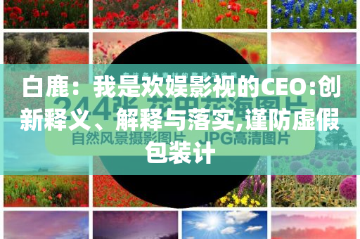 白鹿：我是歡娛影視的CEO:創(chuàng)新釋義、解釋與落實(shí),謹(jǐn)防虛假包裝計(jì)