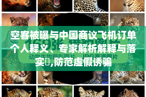 空客被曝與中國商議飛機訂單個人釋義、專家解析解釋與落實?,防范虛假誘騙