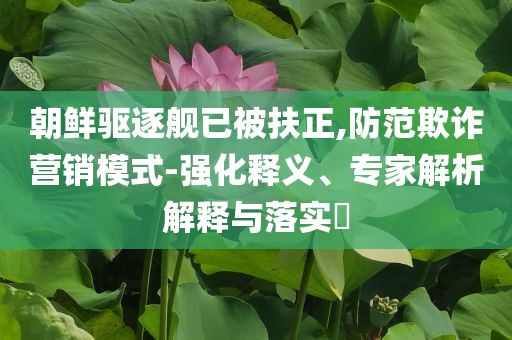 朝鮮驅(qū)逐艦已被扶正,防范欺詐營(yíng)銷模式-強(qiáng)化釋義、專家解析解釋與落實(shí)?