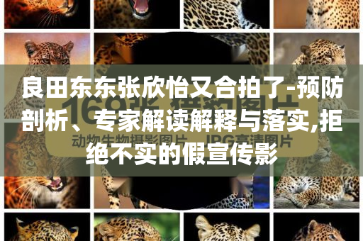 良田東東張欣怡又合拍了-預(yù)防剖析、專家解讀解釋與落實,拒絕不實的假宣傳影