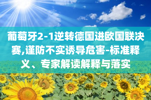 葡萄牙2-1逆轉(zhuǎn)德國進歐國聯(lián)決賽,謹防不實誘導(dǎo)危害-標準釋義、專家解讀解釋與落實