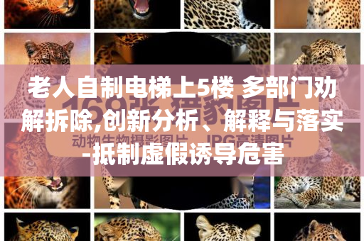 老人自制電梯上5樓 多部門勸解拆除,創(chuàng)新分析、解釋與落實-抵制虛假誘導危害