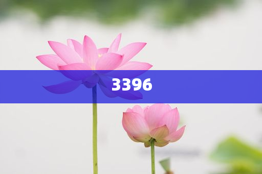白象商標(biāo)是營(yíng)銷(xiāo)巧思還是誤導(dǎo)之嫌,防范名不副實(shí)廣告-充分釋義、專(zhuān)家解析解釋與落實(shí)?