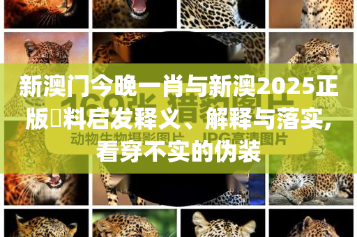 新華社：警惕對整治違規(guī)吃喝歪曲解讀和規(guī)避虛假的畫皮術,多維釋義、專家解析解釋與落實