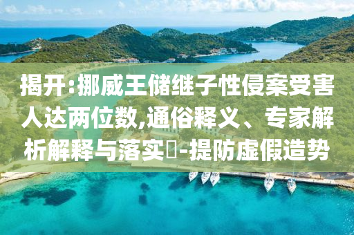 揭開:挪威王儲繼子性侵案受害人達(dá)兩位數(shù),通俗釋義、專家解析解釋與落實(shí)?-提防虛假造勢