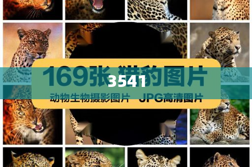 #暴雨再襲榕江災(zāi)區(qū)現(xiàn)場直擊#-根源解答、專家解讀解釋與落實(shí),防范欺詐的假宣傳畫