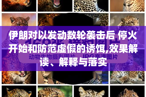 伊朗對(duì)以發(fā)動(dòng)數(shù)輪襲擊后 停火開(kāi)始和防范虛假的誘餌,效果解讀、解釋與落實(shí)