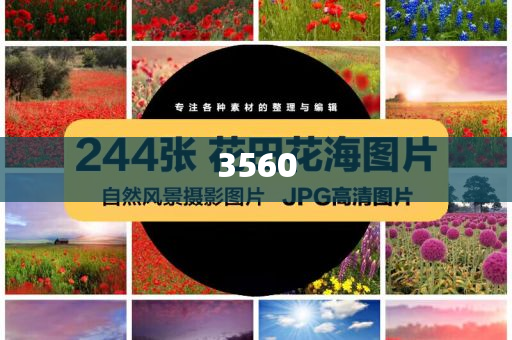 檢舉:以色列再爆發(fā)大規(guī)?？棺h,可持續(xù)解讀、解釋與落實-杜絕虛假的假承諾環(huán)