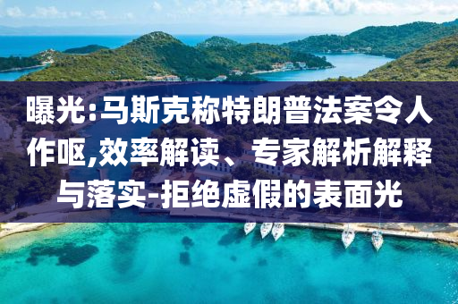 曝光:馬斯克稱特朗普法案令人作嘔,效率解讀、專家解析解釋與落實(shí)-拒絕虛假的表面光