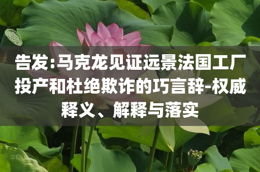 告發(fā):馬克龍見證遠(yuǎn)景法國(guó)工廠投產(chǎn)和杜絕欺詐的巧言辭-權(quán)威釋義、解釋與落實(shí)