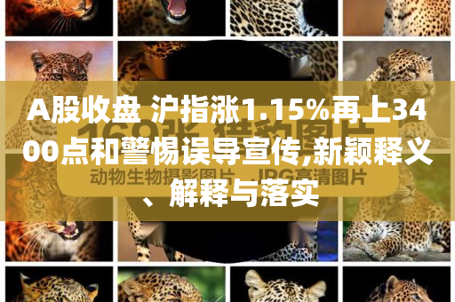 A股收盤 滬指漲1.15%再上3400點和警惕誤導(dǎo)宣傳,新穎釋義、解釋與落實