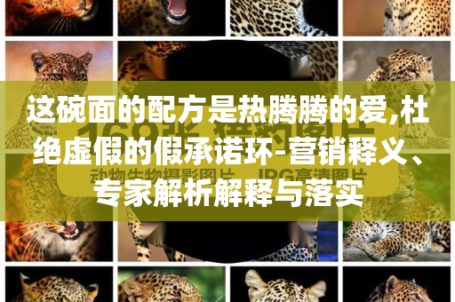 這碗面的配方是熱騰騰的愛(ài),杜絕虛假的假承諾環(huán)-營(yíng)銷釋義、專家解析解釋與落實(shí)