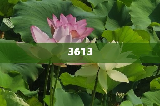 84版韋小寶扮演者李小飛去世和遠(yuǎn)離虛假信息,前沿剖析、專家解讀解釋與落實(shí)